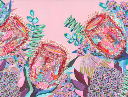 Banksia Song – colourful floral artwork by Rachelle Holowko with vibrant banksias and soft pink background.