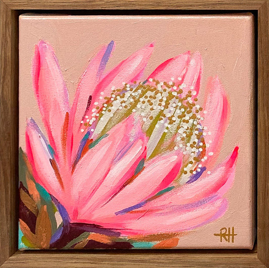 Glow Bloom – framed mini painting by Rachelle Holowko with a glowing pink protea on soft coral background.

