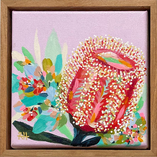 Soft & Spiky – framed 20x20cm mini original artwork by Rachelle Holowko featuring a colourful banksia bloom on blush pink.

