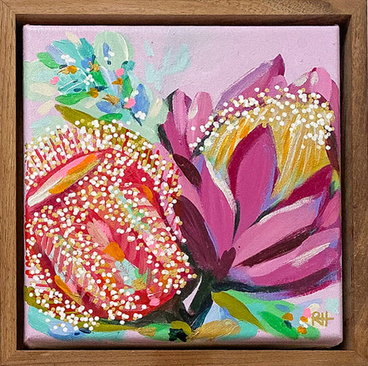 Sugar Bloom – vibrant mini floral painting by Rachelle Holowko with a pink banksia and purple protea, framed and ready to hang.

